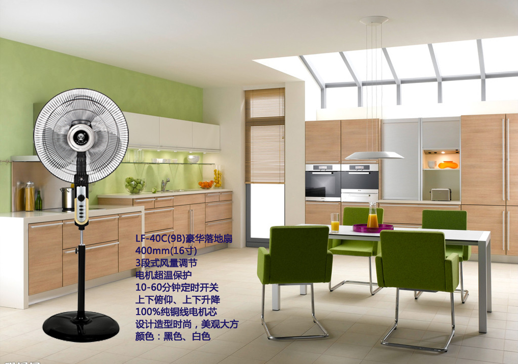 LF-40C(9B)豪华落地扇（黑色）